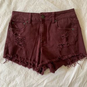 AE Destroyed Festival Shortie